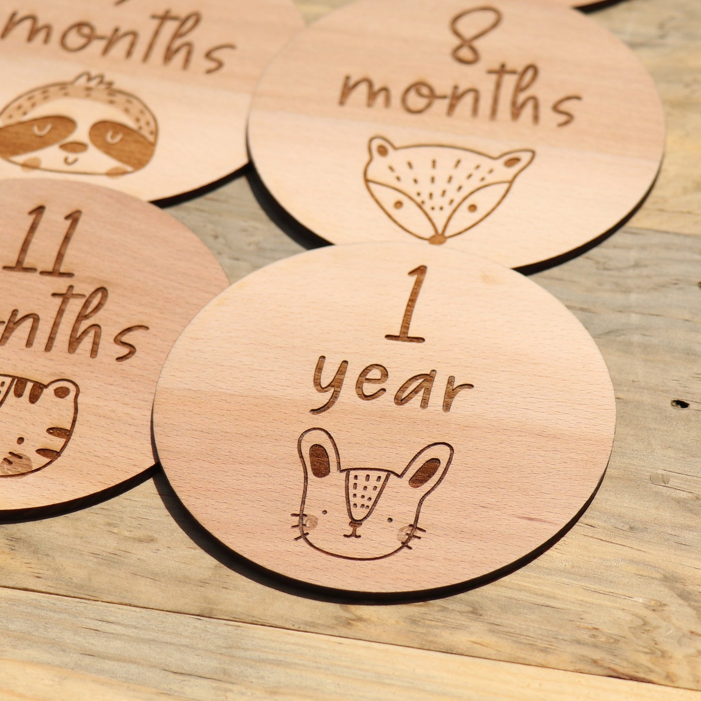 Cute Animals - Baby's Monthly Wood Milestone Markers