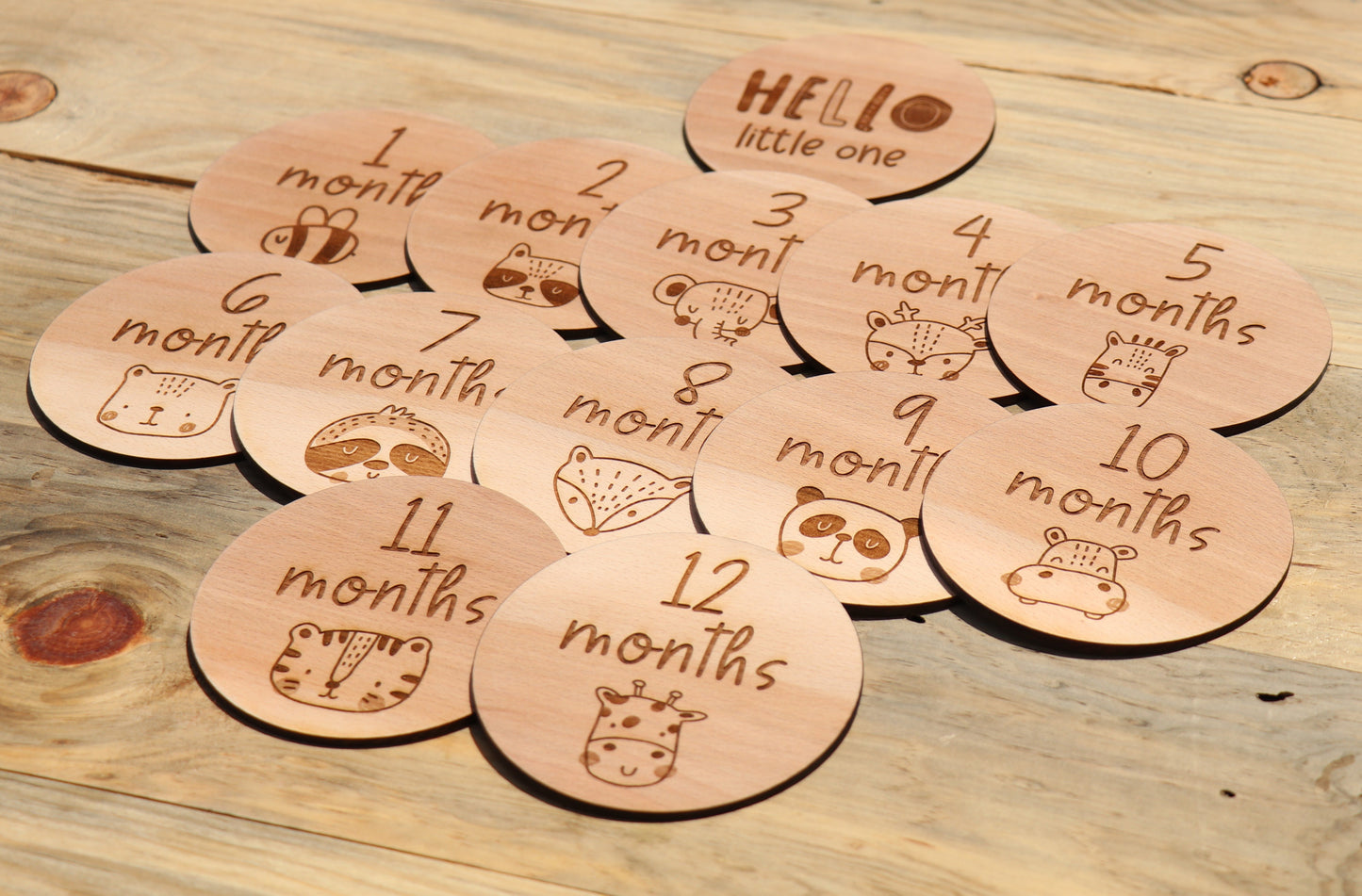 Cute Animals - Baby's Monthly Wood Milestone Markers