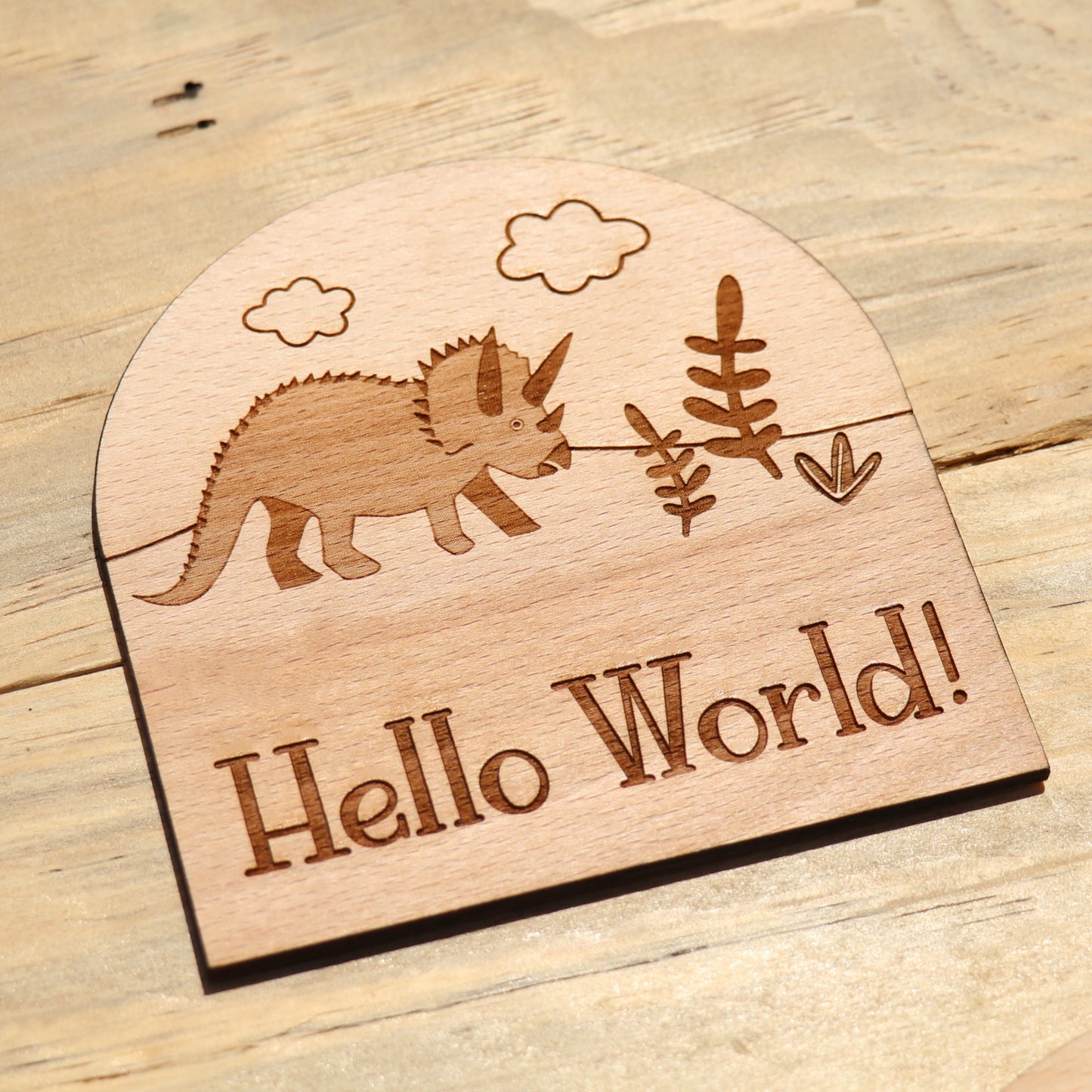 Dinosaurs - Baby's Monthly Wood Milestone Markers