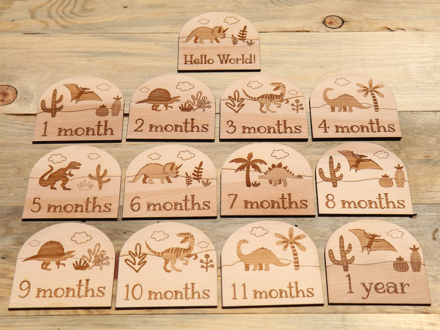 Dinosaurs - Baby's Monthly Wood Milestone Markers