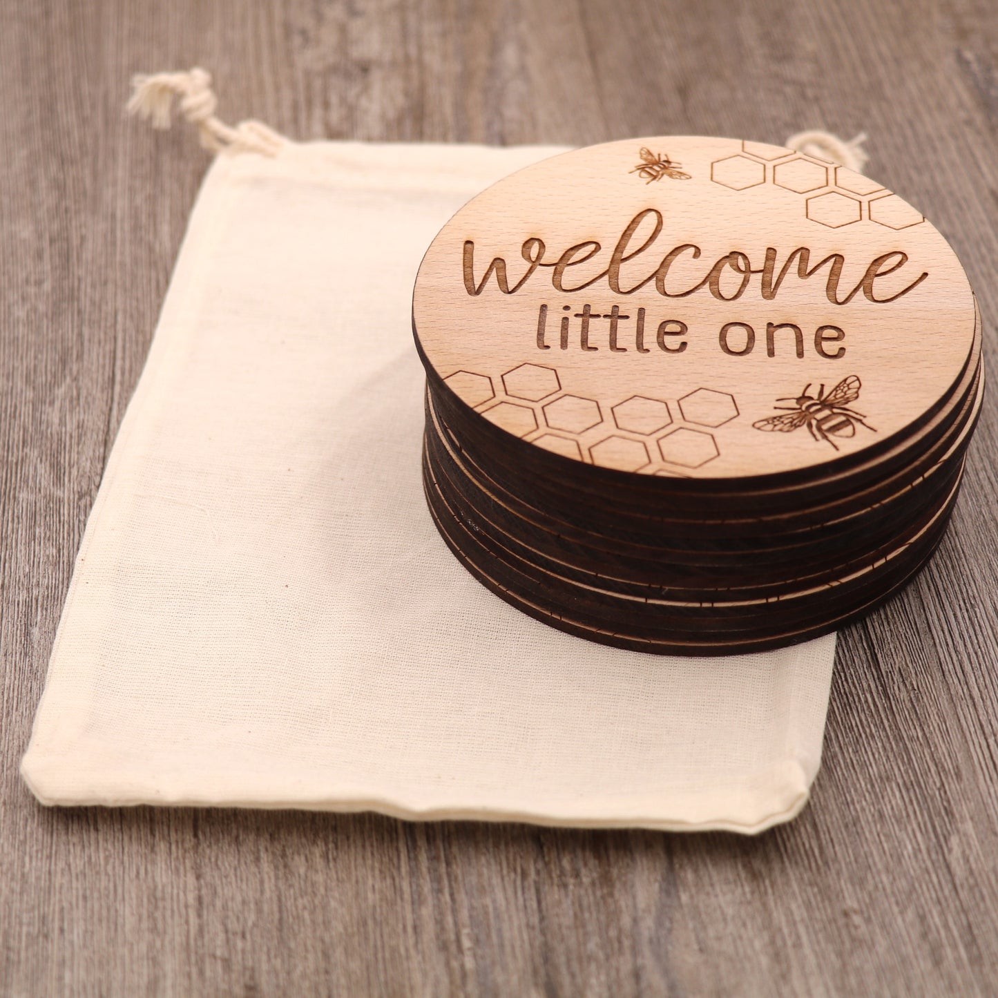 Dinosaurs - Baby's Monthly Wood Milestone Markers