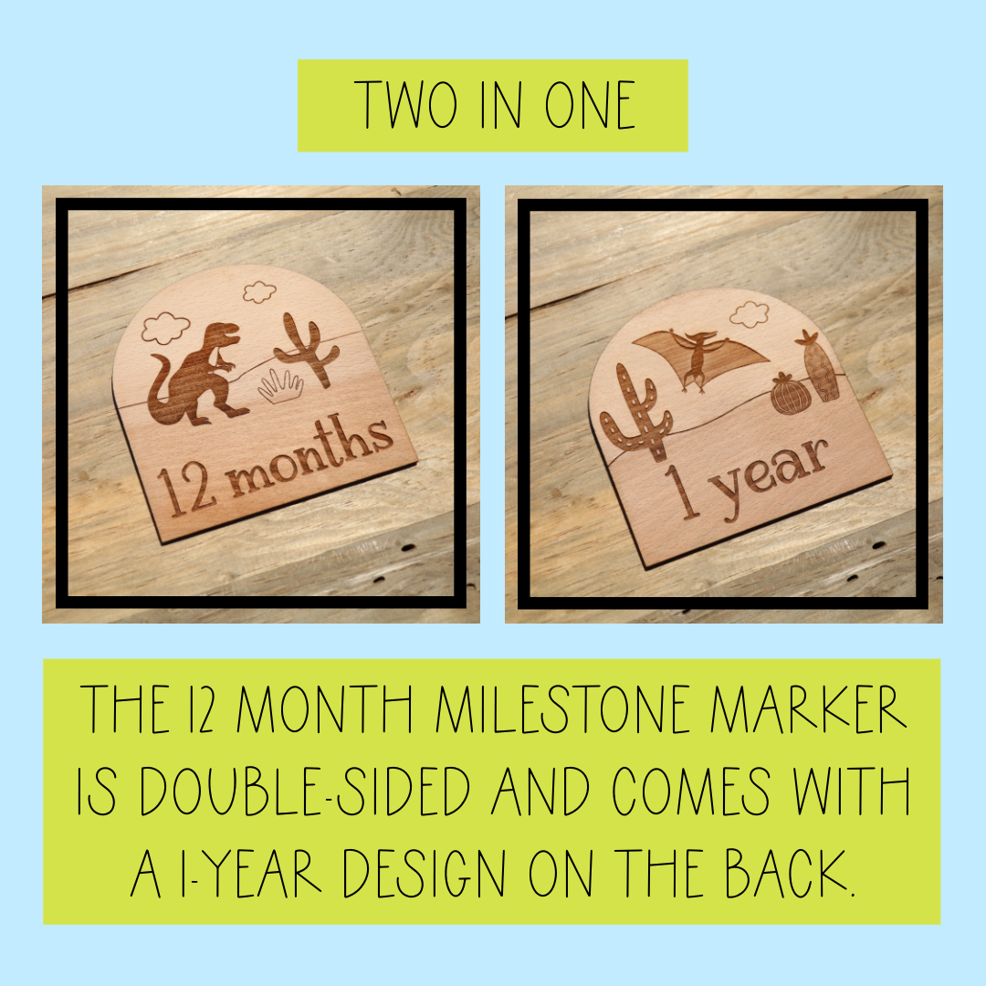 Dinosaurs - Baby's Monthly Wood Milestone Markers
