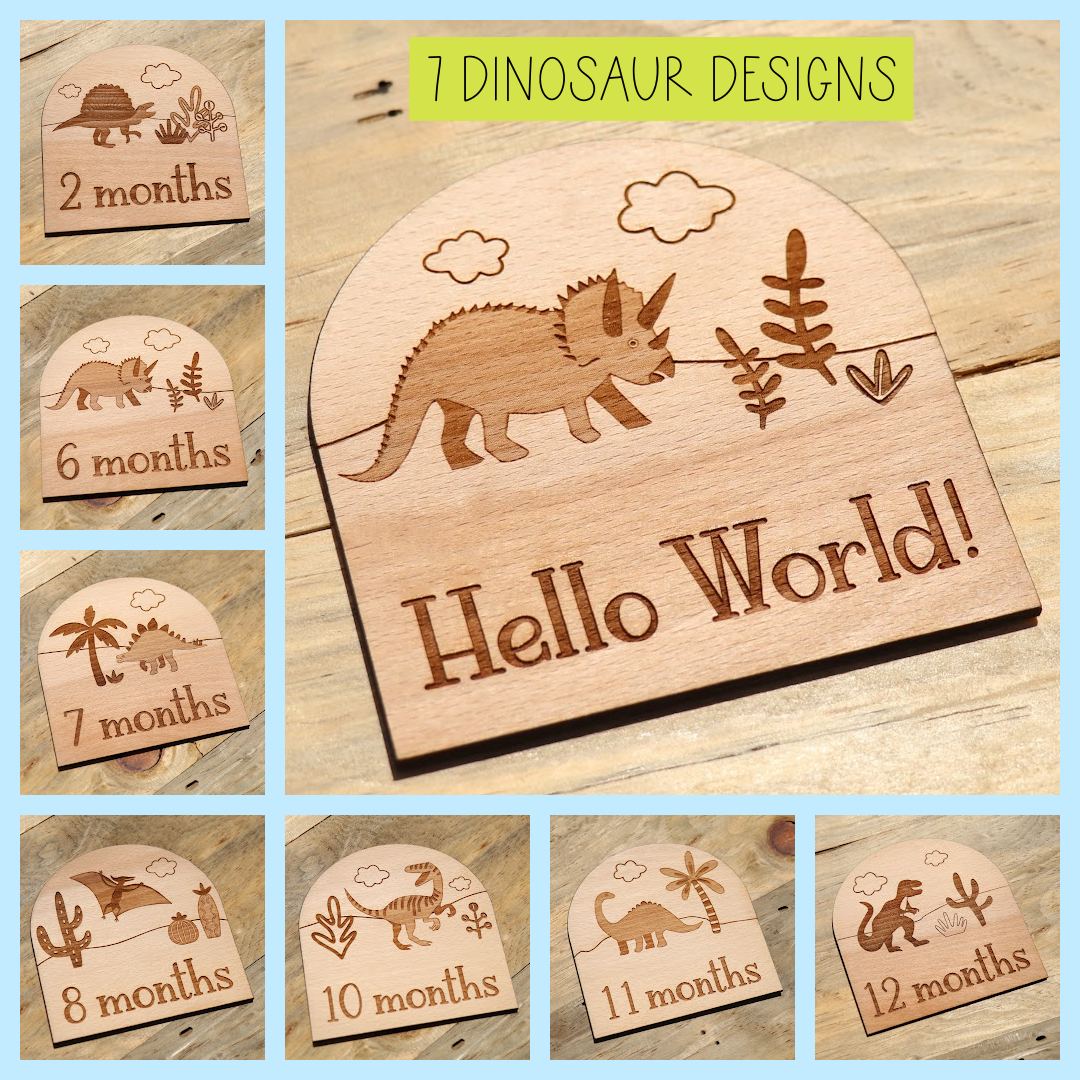 Dinosaurs - Baby's Monthly Wood Milestone Markers