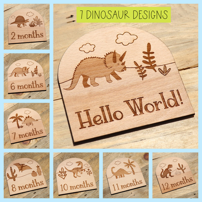 Dinosaurs - Baby's Monthly Wood Milestone Markers