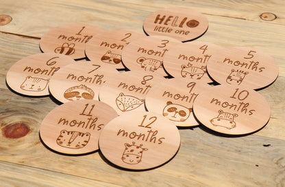 Cute Animals - Baby's Monthly Wood Milestone Markers