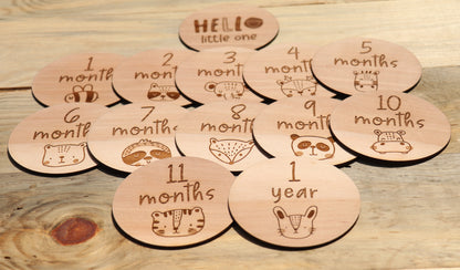 Cute Animals - Baby's Monthly Wood Milestone Markers