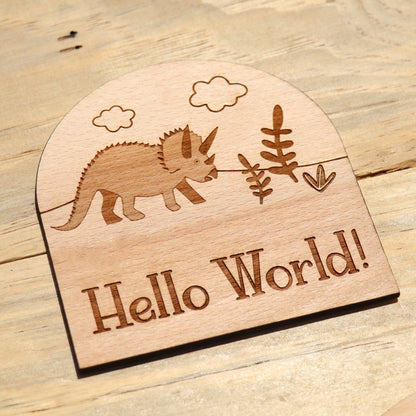 Dinosaurs - Baby's Monthly Wood Milestone Markers