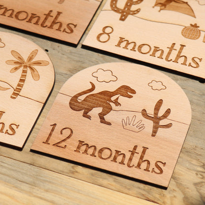 Dinosaurs - Baby's Monthly Wood Milestone Markers
