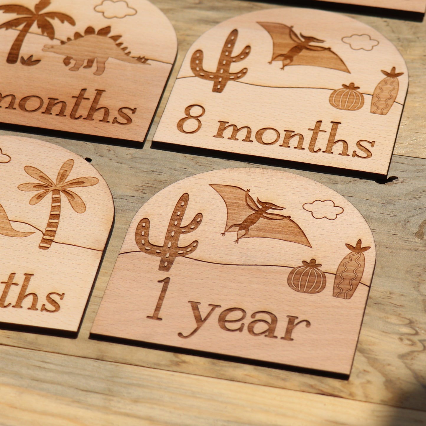 Dinosaurs - Baby's Monthly Wood Milestone Markers