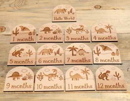 Dinosaurs - Baby's Monthly Wood Milestone Markers