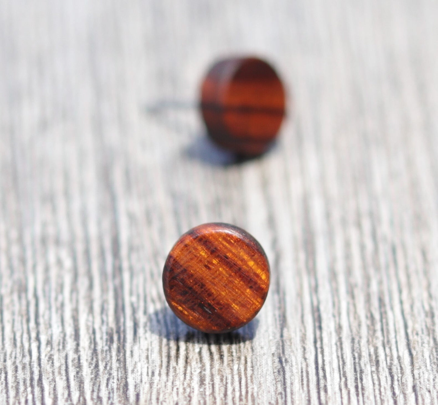 Desert Ironwood Stud Earrings