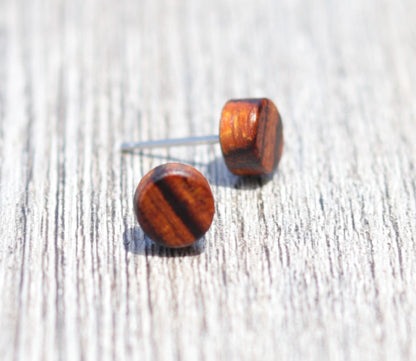 Desert Ironwood Stud Earrings